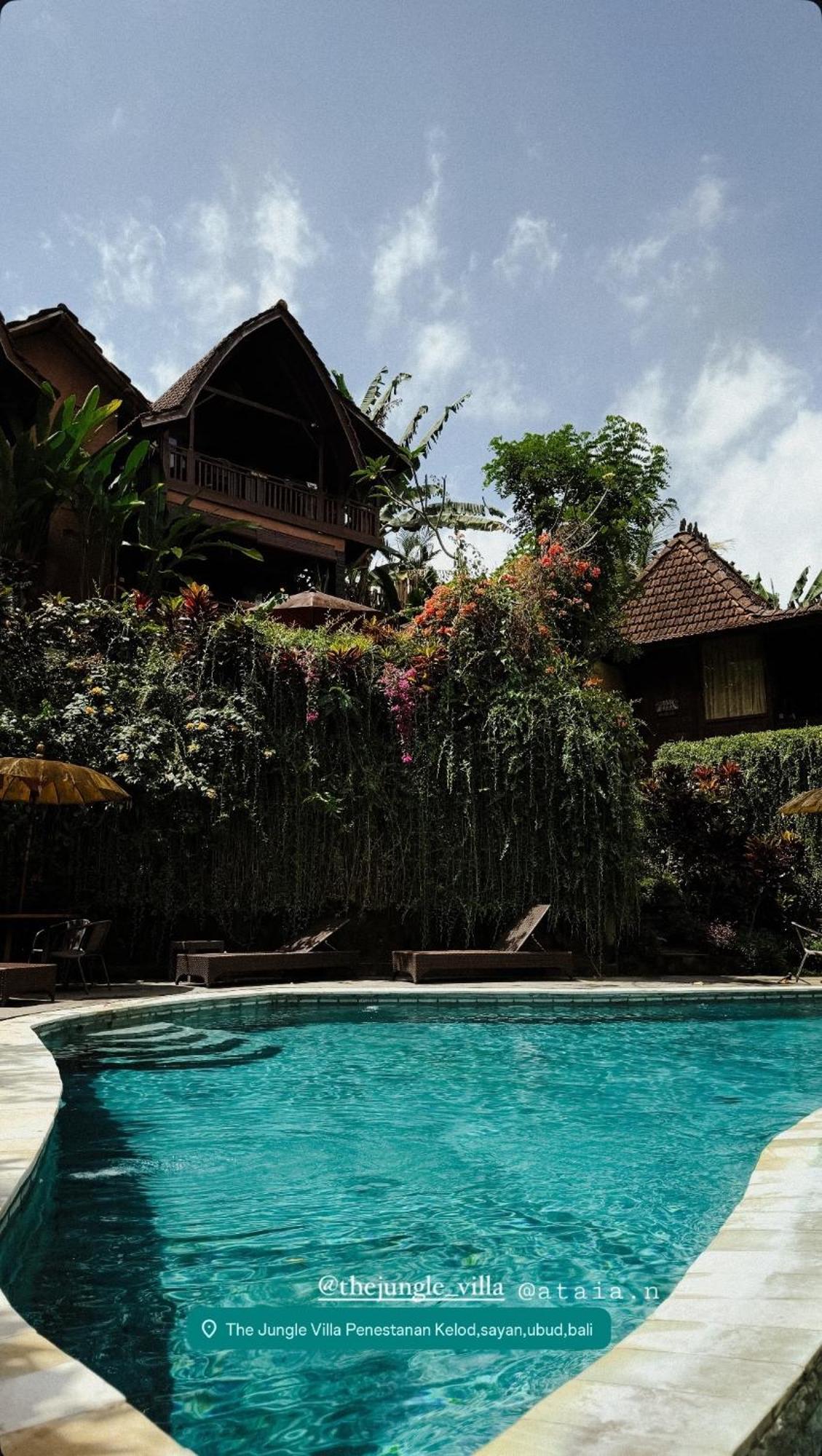 The Jungle Family * Ubud (Bali)