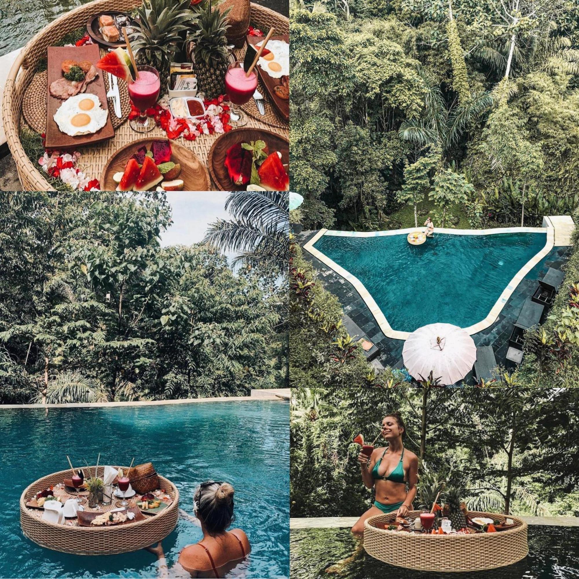 विला The Jungle Family *