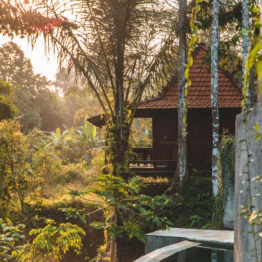 The Jungle Family विला Ubud (Bali)